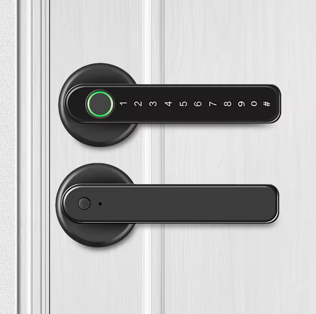 Fingerprint Door Lock/Smart Door knob/Biometric Door Lock with passcode keypad /APP Remote Control/Entry Door Handle