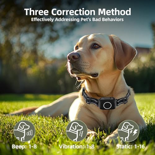 Three correction methods: beep, vibration, static