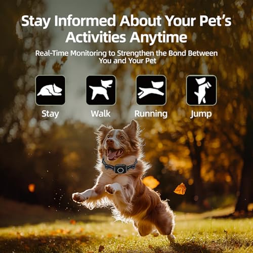 Dog activity monitoring
