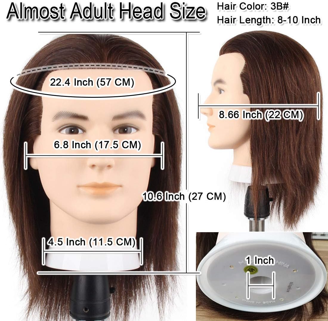 Male Mannequin Head with 100% Human Hair Haircut Training Head with Thick Hair Hairdresser Manikin Head Doll Head for Hair Styling and Practice Handsome Face Adult Head Size (8-10Inch 3B#)