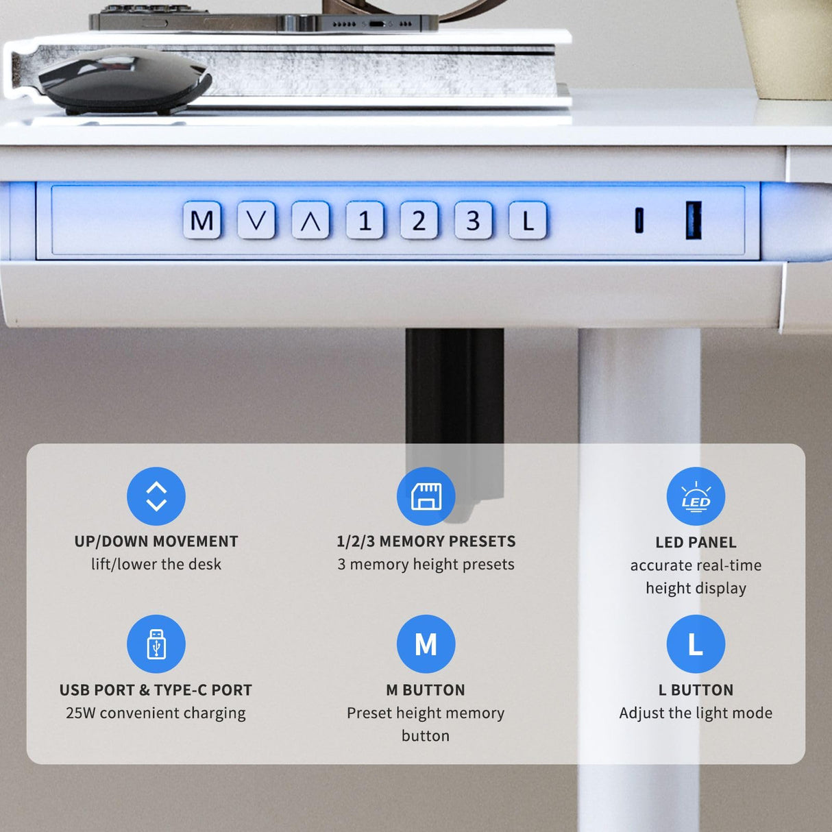 Electric Standing Desk Sit Stand Up Computer Table with Drawer Height Adjustable Motorised Rising Office Workstation Tempered Glass RGB LED Lights, USB& Type-C Charging Port White