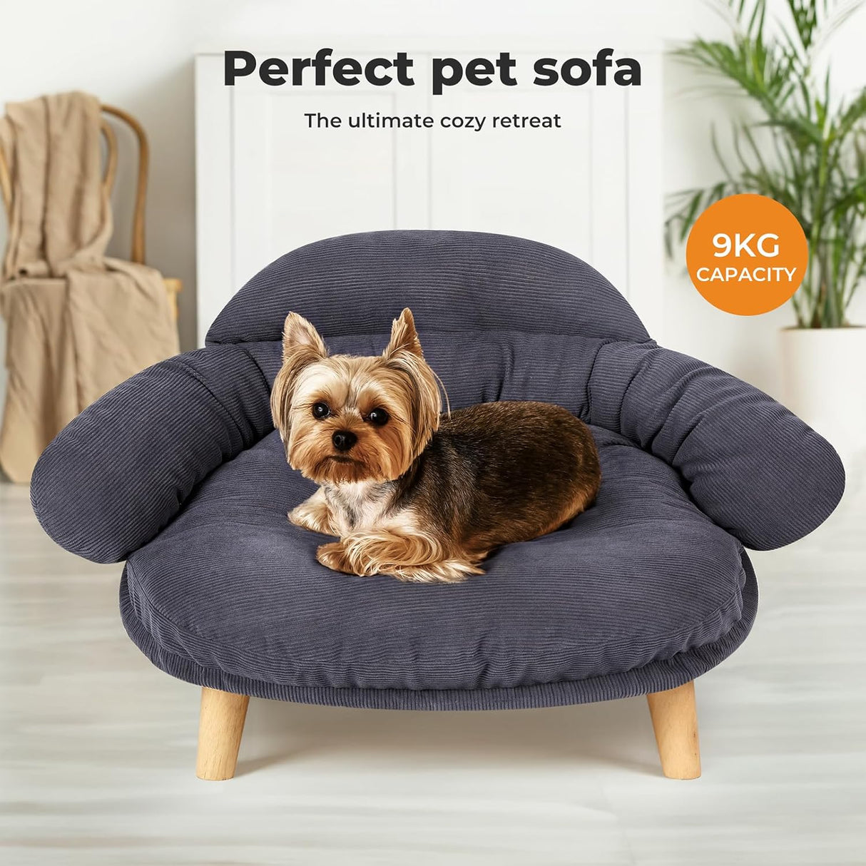 PaWz Pet Sofa Dog Cat Elevated Raised Couch Bed, Durable Soft Couch Chair Kitten Lounge Sofa Bed with Removable Cushion Seat Washable Cover, Luxury Plush Sofa Stool Bed for Dogs Cats with Wooden Frame
