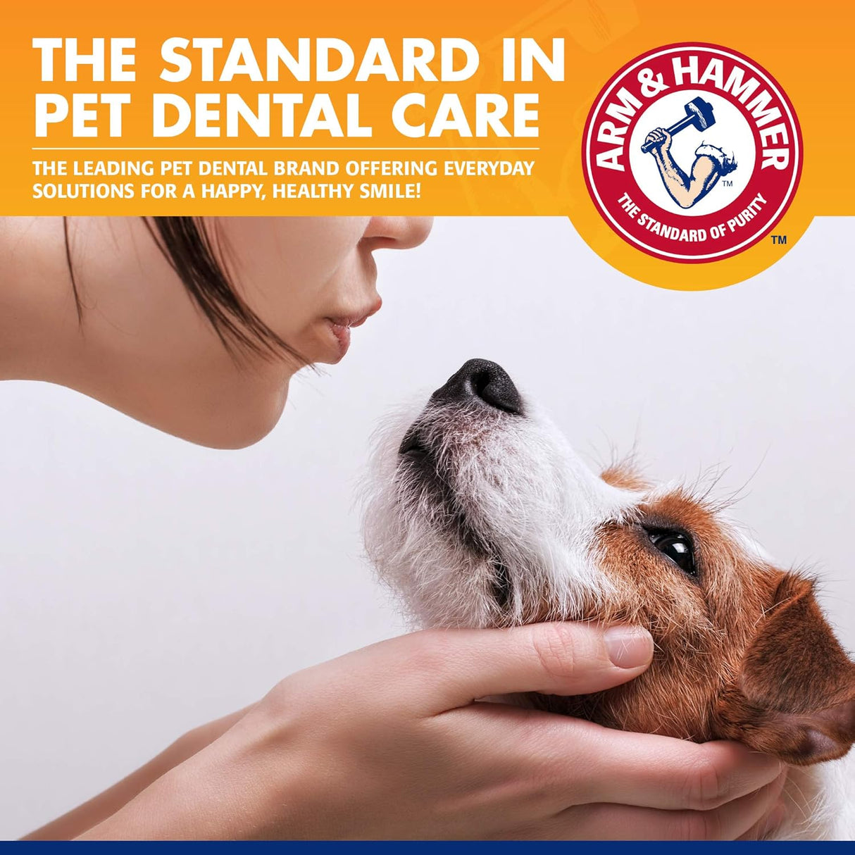 Arm & Hammer Beef Flavor Tartar Control Dental Kit for Dogs