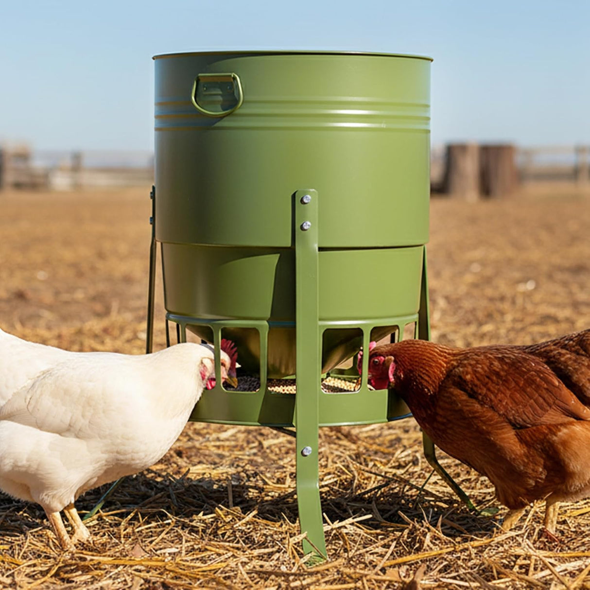 KOL 23kg Chicken Feeder