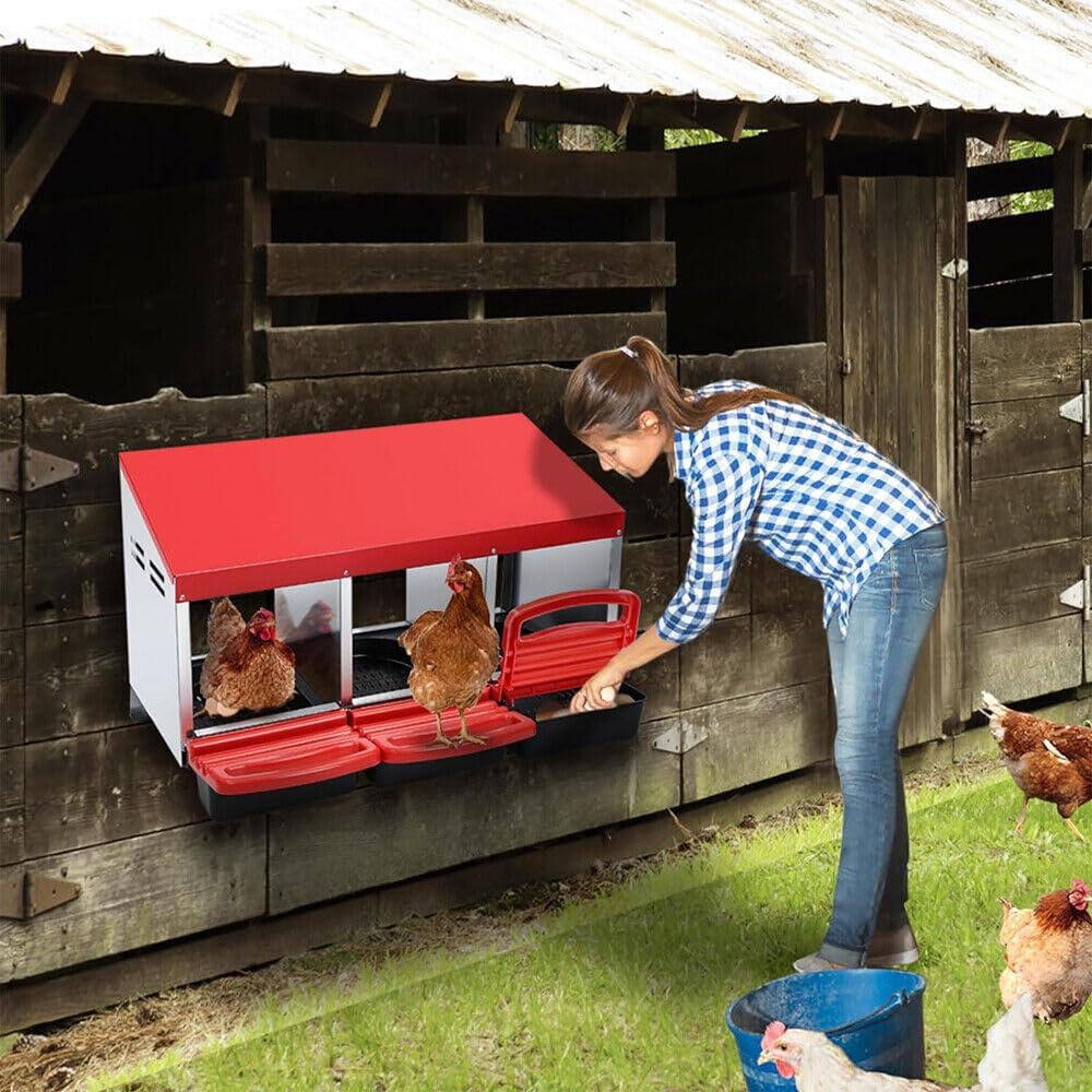 3-Hole Metal Chicken Nesting Box with Roll-Away Egg Tray