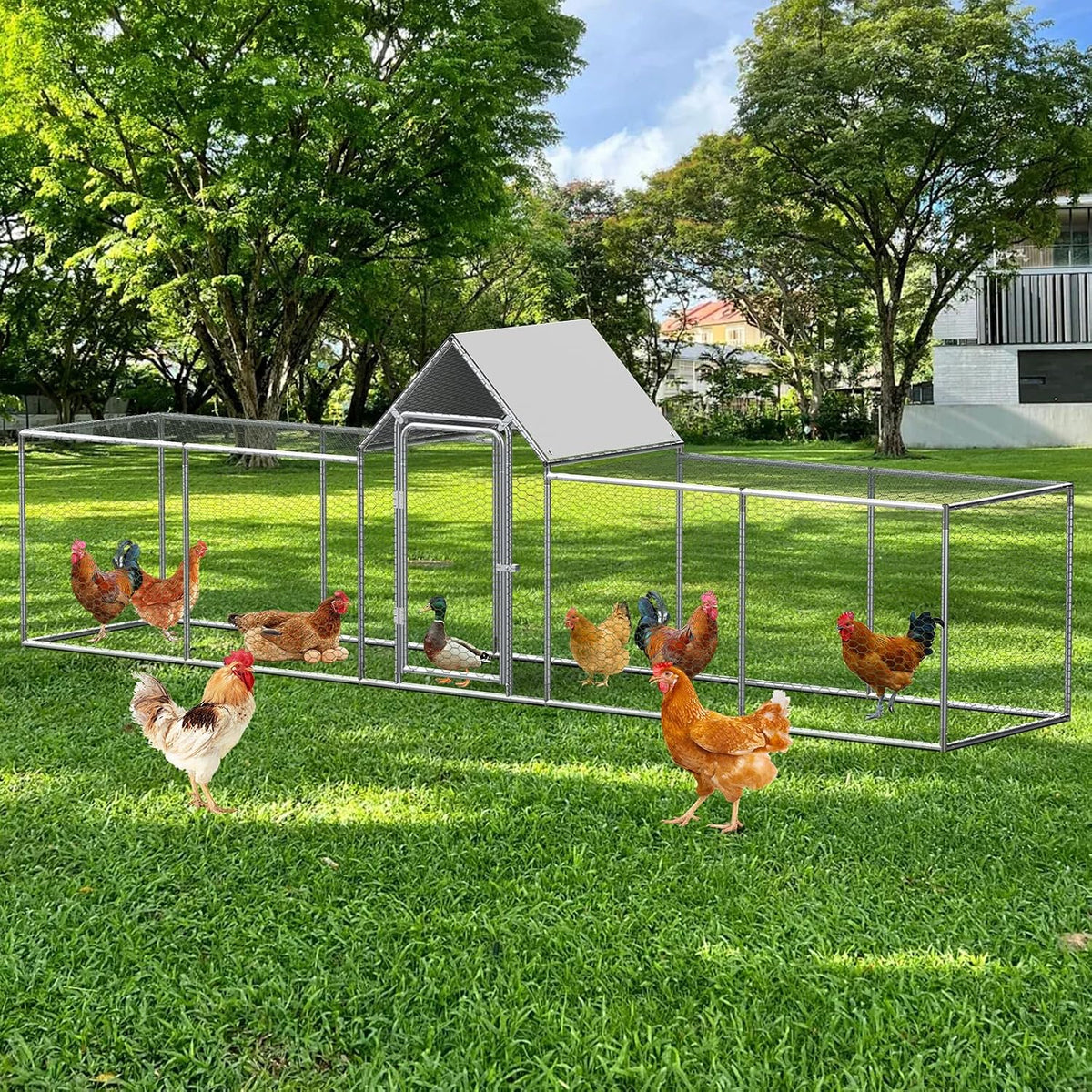 5 × 1 × 1.5 m Walk-In Metal Chicken Coop with Weather Cover