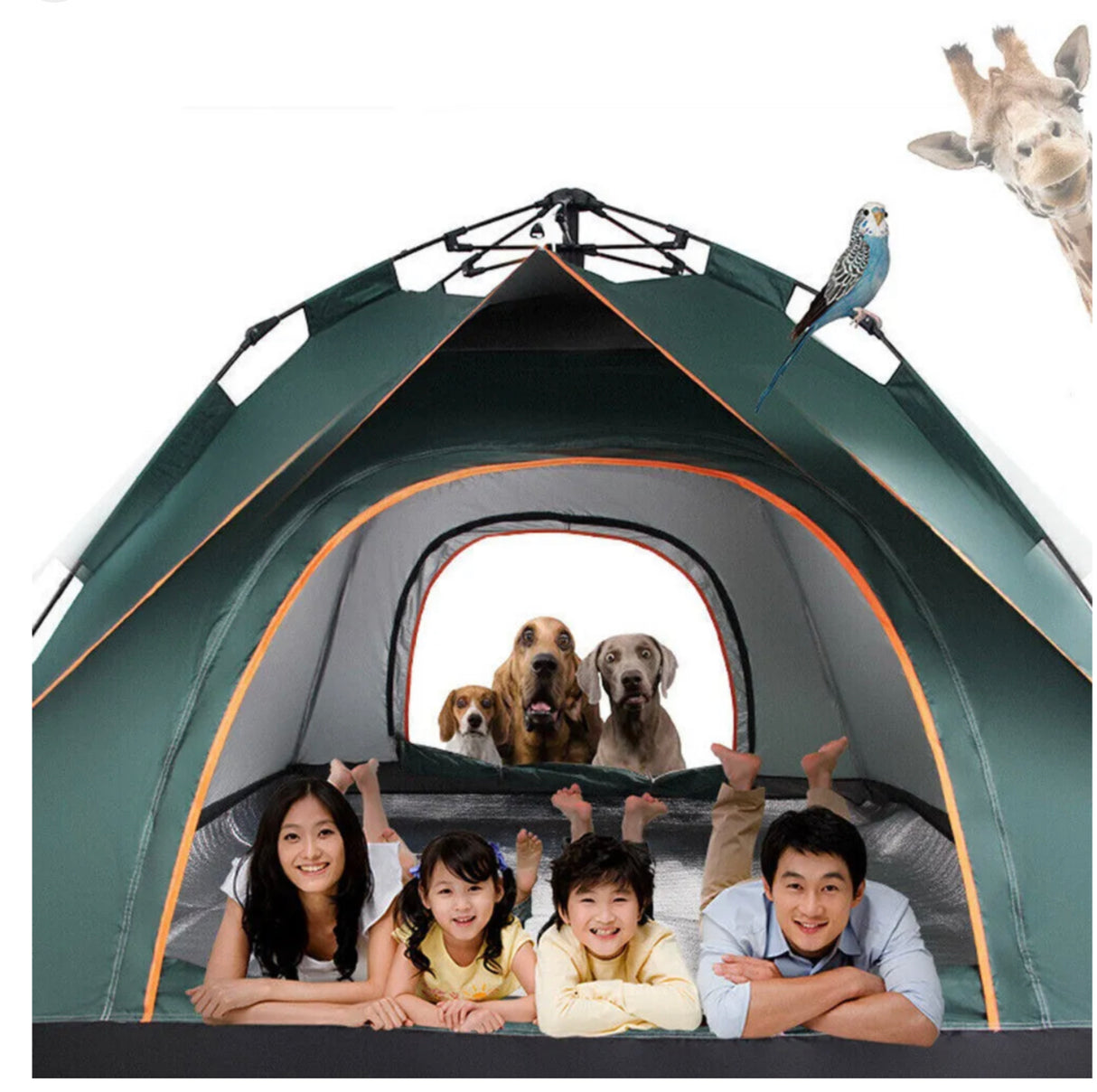 4-5 People Waterproof Automatic Outdoor Instant Pop Up Camping Tent UV Protect