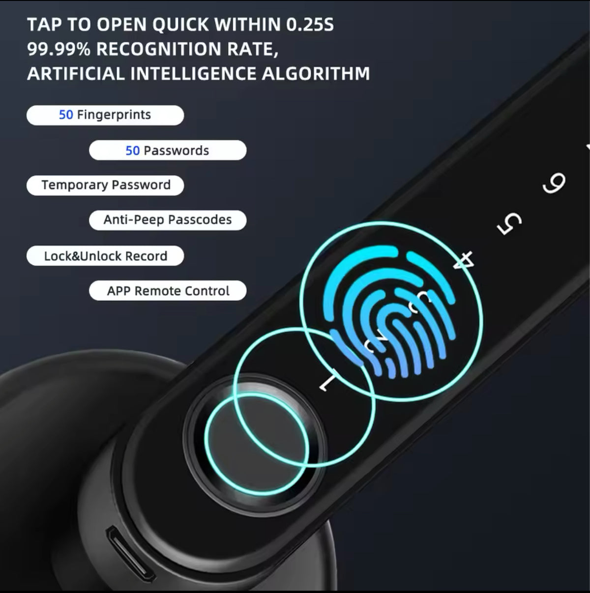 Fingerprint Door Lock/Smart Door knob/Biometric Door Lock with passcode keypad /APP Remote Control/Entry Door Handle