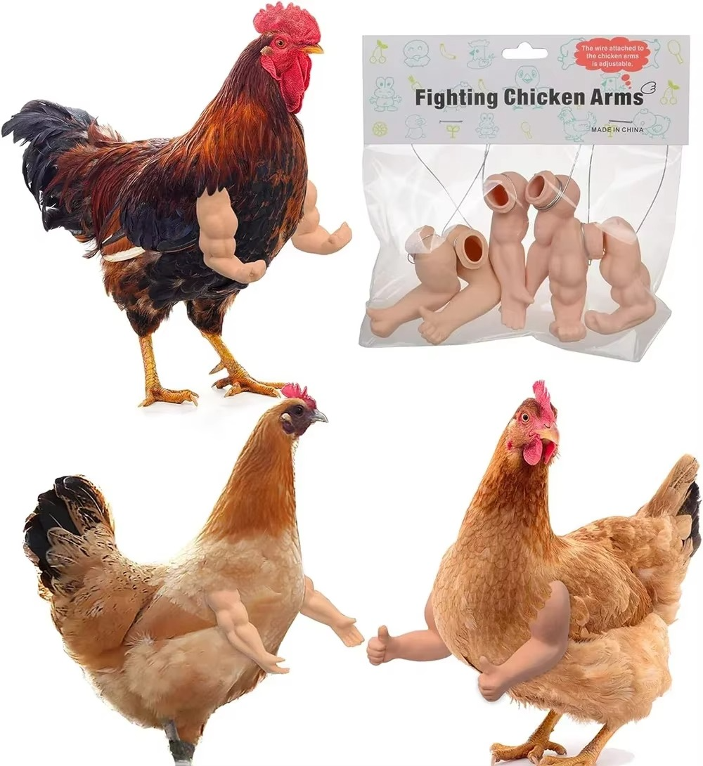 Funny Fighting Chicken Arms