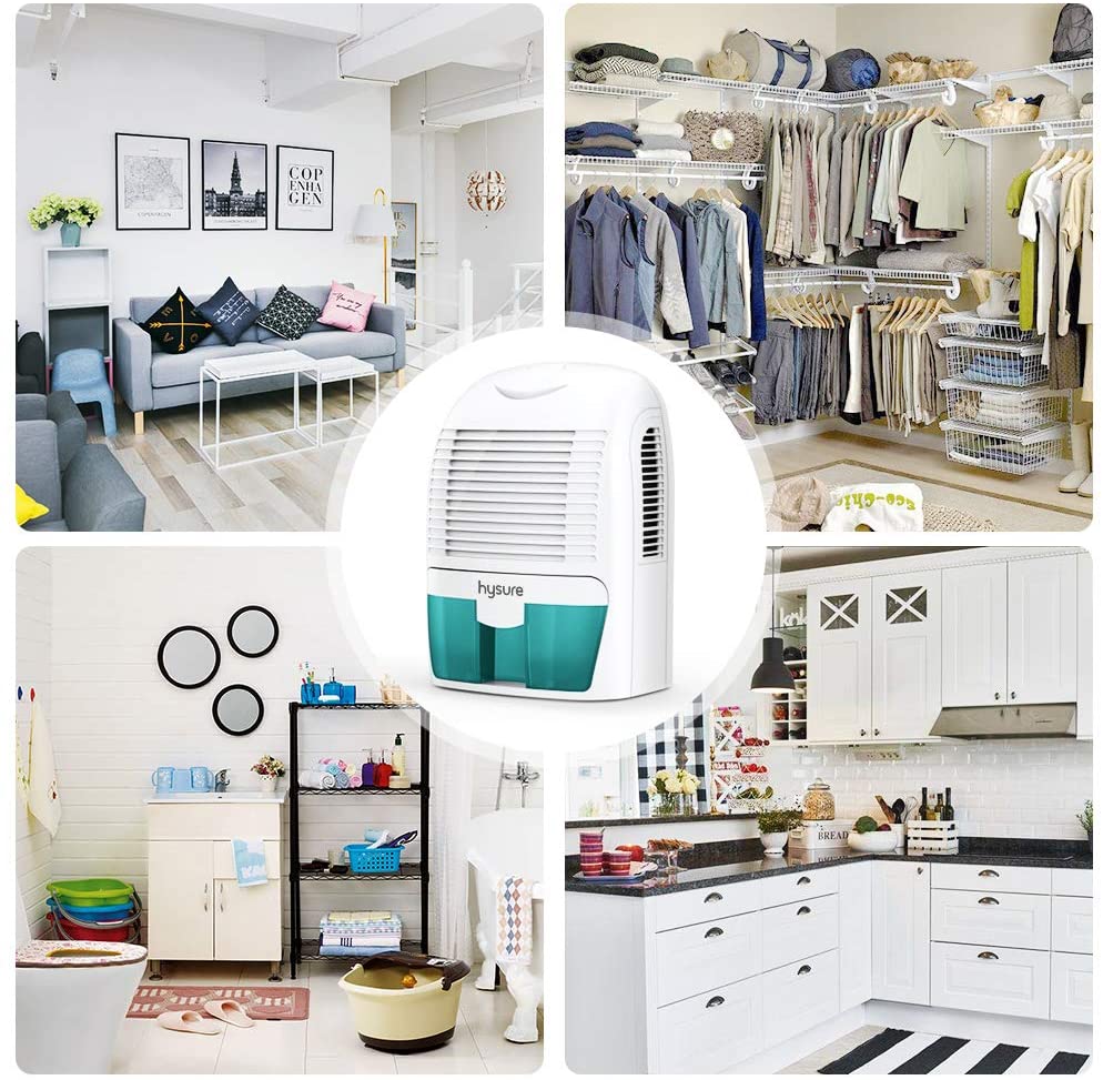 Portable Electric Dehumidifiers