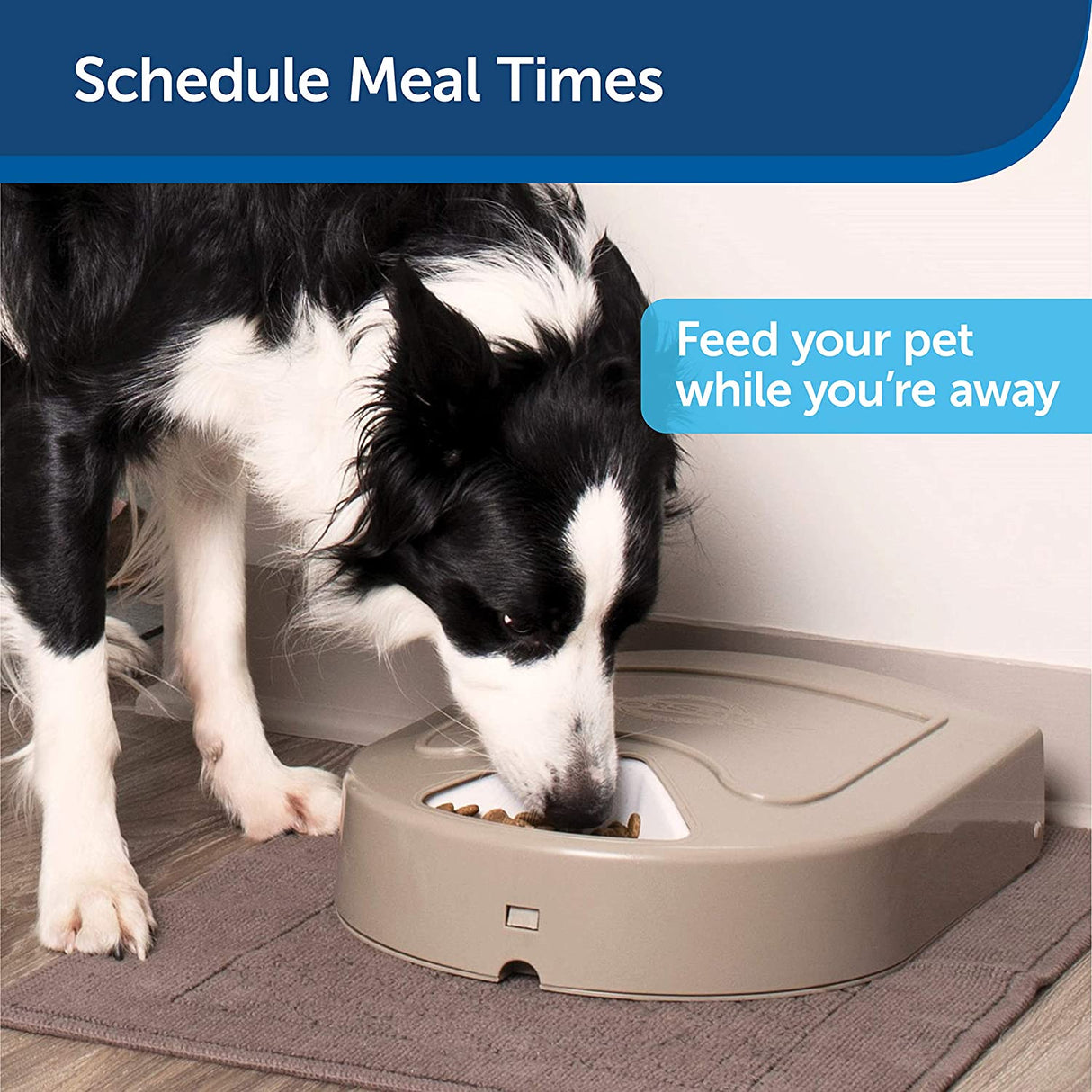 5 Meal Automatic Dog and Cat Feeder, Dispenses Dog Food or Cat Food, Digital Clock