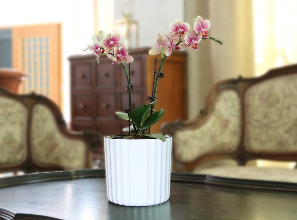 Orchid Pot with Net and Holes, Round Self Watering Planter Pot for Indoor Plants and Flowers 3 Sets White