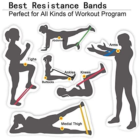 Resistance Bands - Set of 5 Rubber Latex Exercise Bands, Resistance Loops Workout Fitness Band for Physical Therapy, Legs, Butt Booty Bands, Home Fitness, Glutes, Yoga, Stretching with Carry Bag