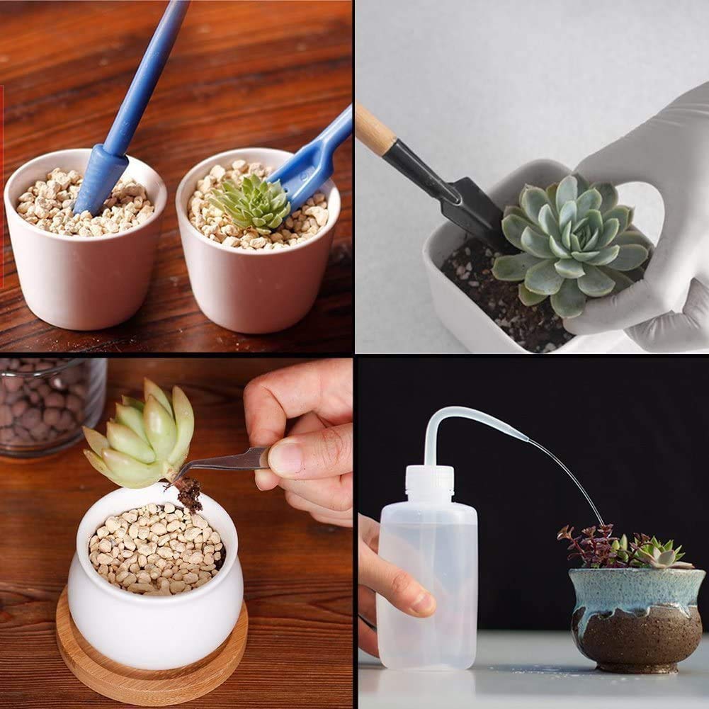 Mini Garden Tools Set