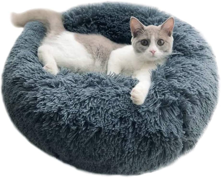 Pet Bed
