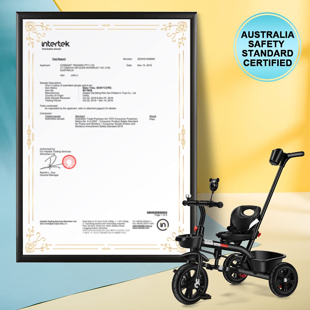 2 in 1 Kids Push Along Tricycle