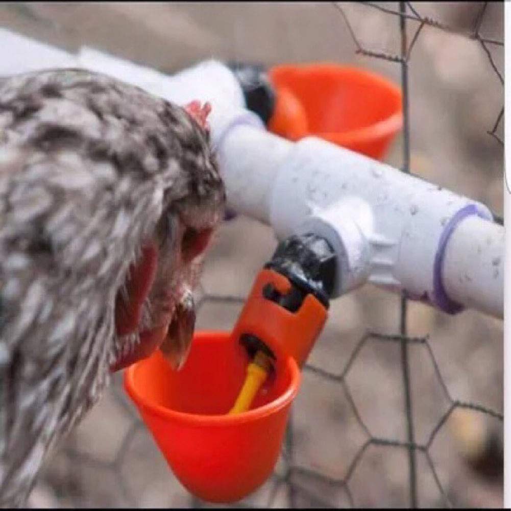 6 Pack Farm & Ranch Automatic Feeder Bowl