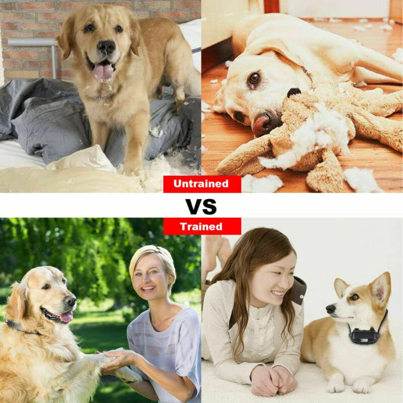 Dog Training Collar ,Long Range 2600ft Rechargeable Shock Collar ,100% Waterproof Dog Shock Collar with Remote and 4 Training Modes, Beep, Vibration , LED Light and Shock,0~99 Shock L (3 receivers)