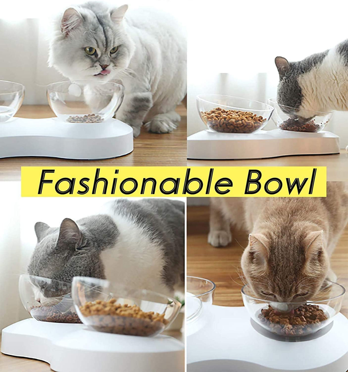 Double Cat Bowl