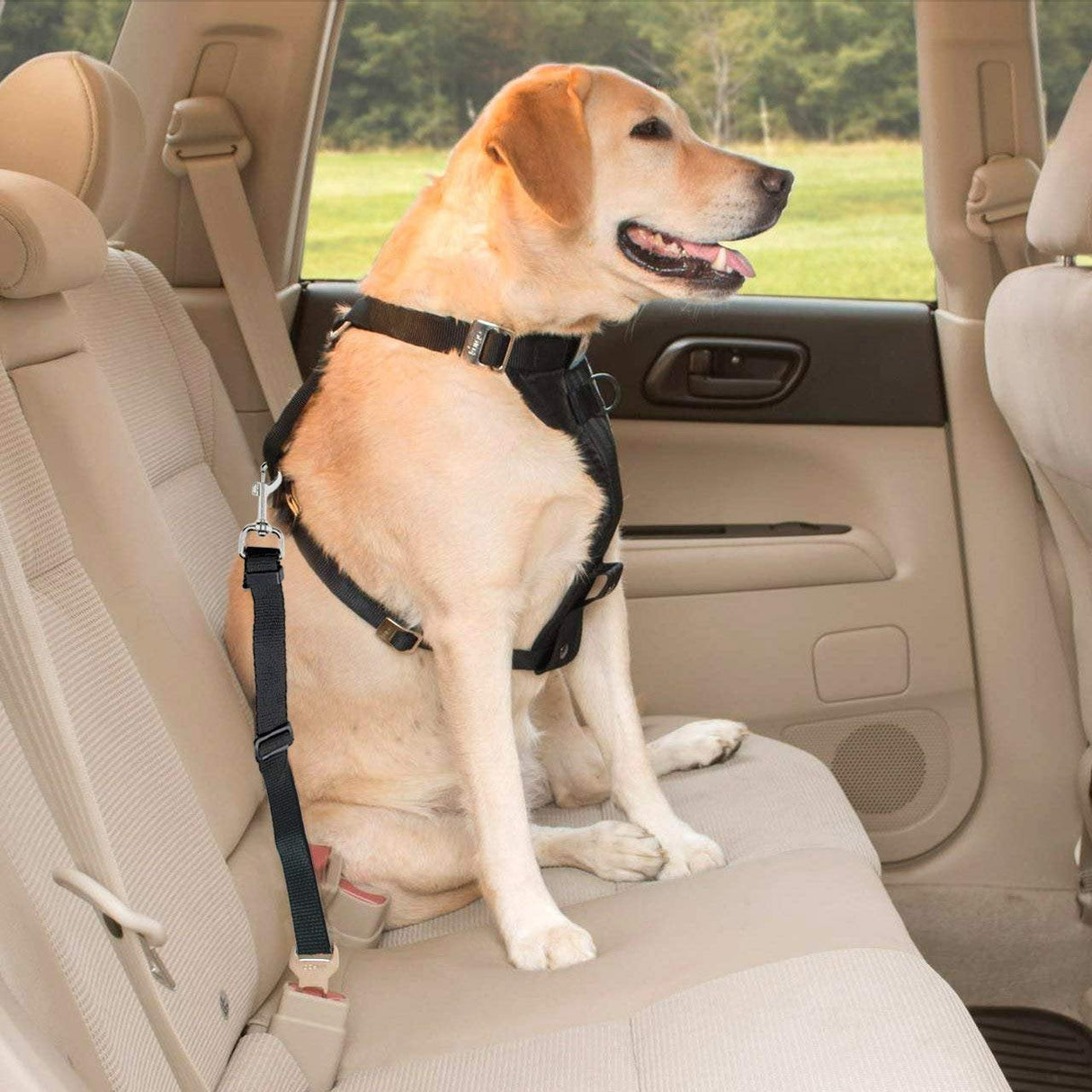 2 Pack Adjustable Pet Dog Cat Seat Belt