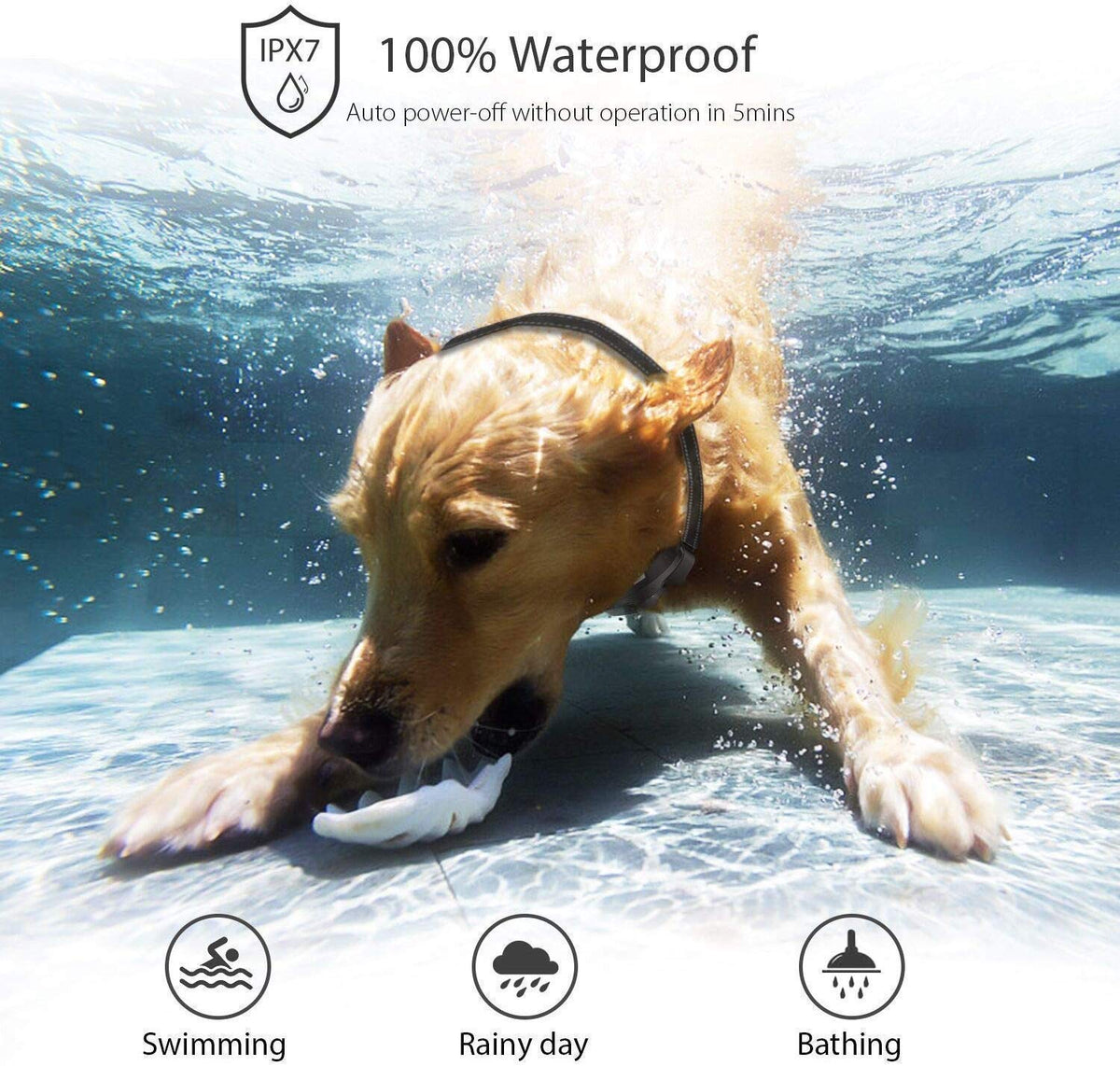 Dog Training Collar, Rechargeable Waterproof Dog Shock Collar for Dogs with Remote 2600ft, Anti Bark Collar with Beep Vibrating Shock LED Light 4 Modes for Small Medium Large Dogs