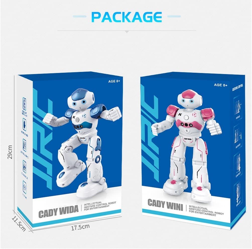 Transformers Smart Talking Robot
