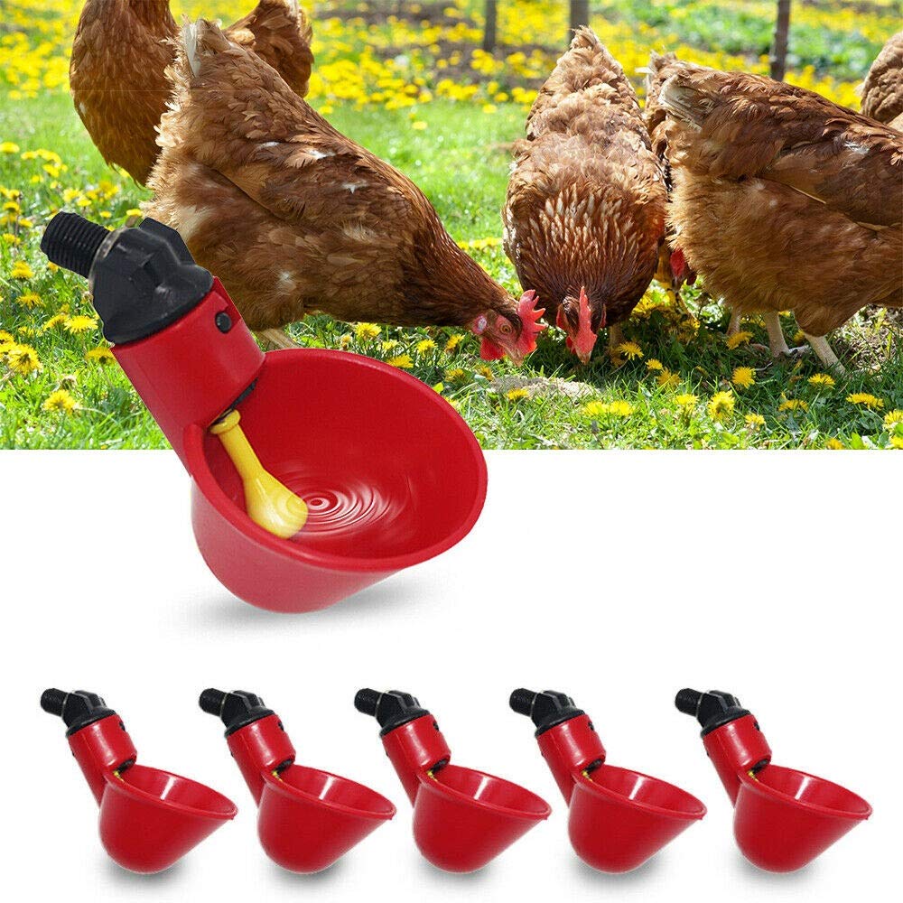 6 Pack Farm & Ranch Automatic Feeder Bowl