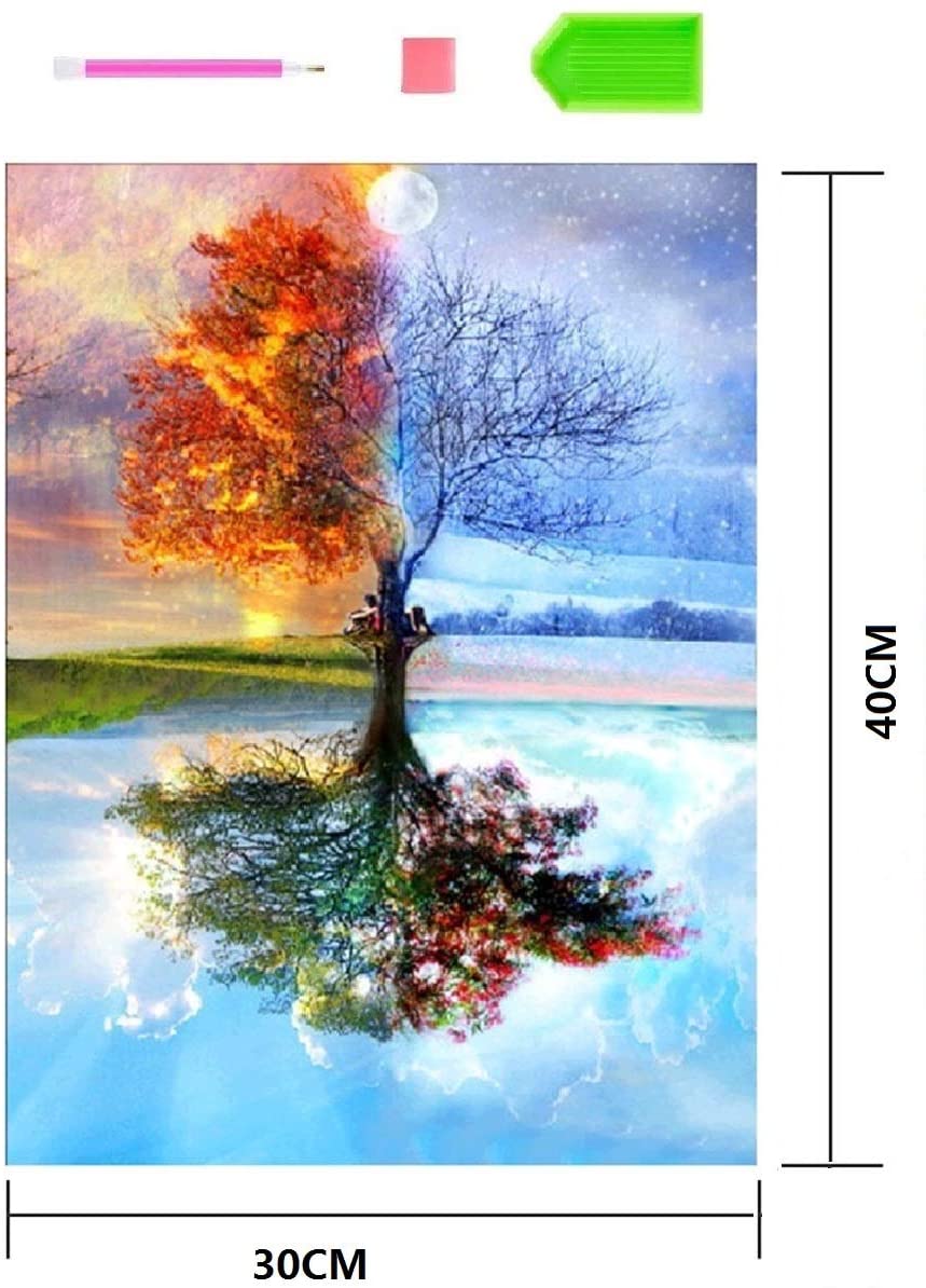 2 Pack DIY 5D Diamond Painting Kit