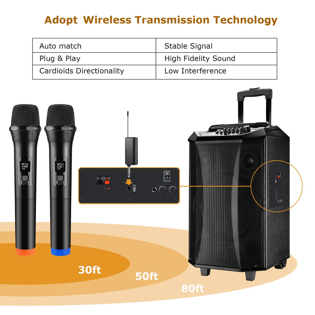 FerBuee Dual Wireless Dynamic Microphone System – 6.35 mm Receiver