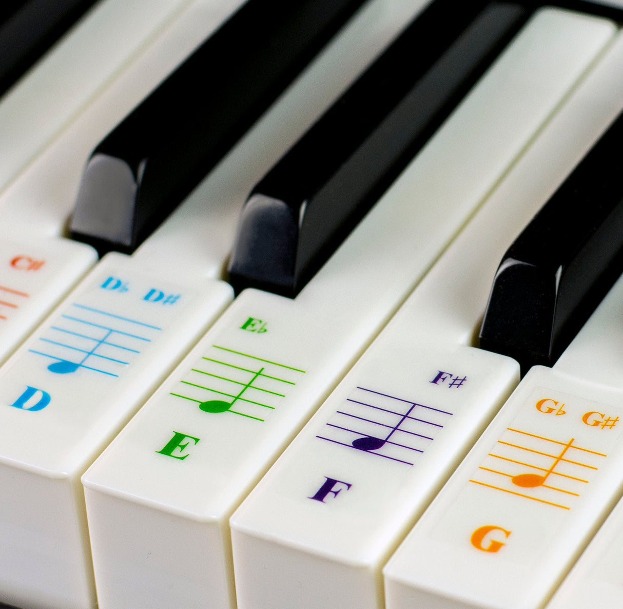 Colour Piano Stickers for 88/76/61/54/49/37 Key Keyboards – Transparent and Removable