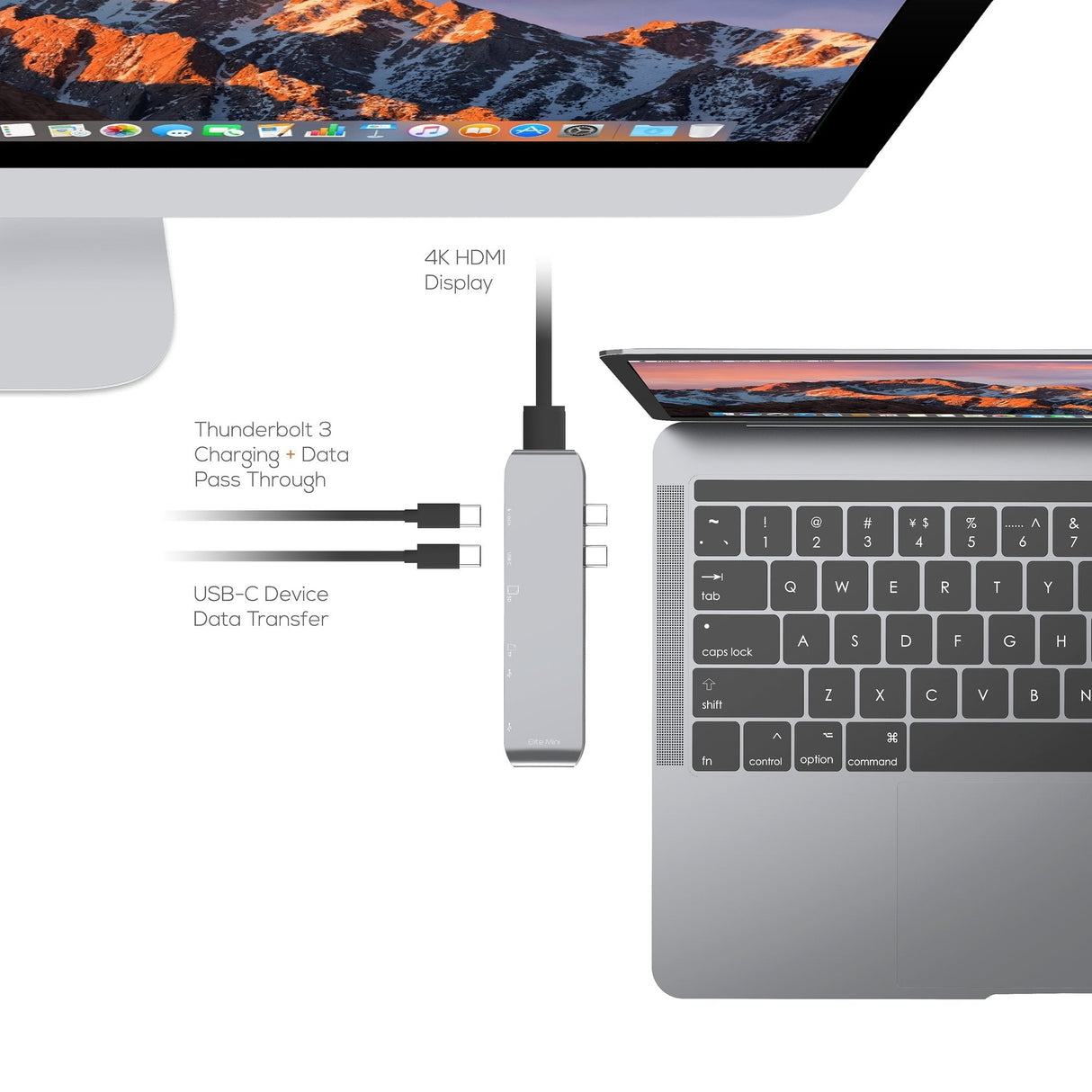 Elite Mini USB C Hub Adapter