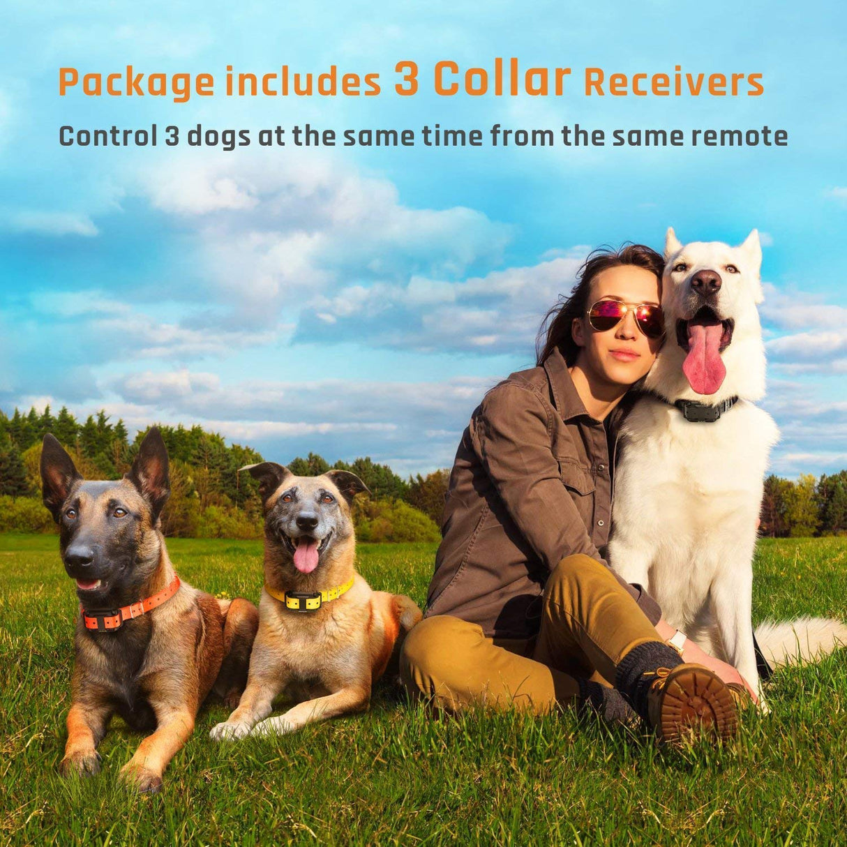 Dog Training Collar ,Long Range 2600ft Rechargeable Shock Collar ,100% Waterproof Dog Shock Collar with Remote and 4 Training Modes, Beep, Vibration , LED Light and Shock,0~99 Shock L (3 receivers)