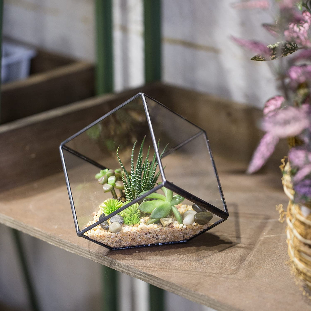 Geometric Decorative Terrarium Cube Planter