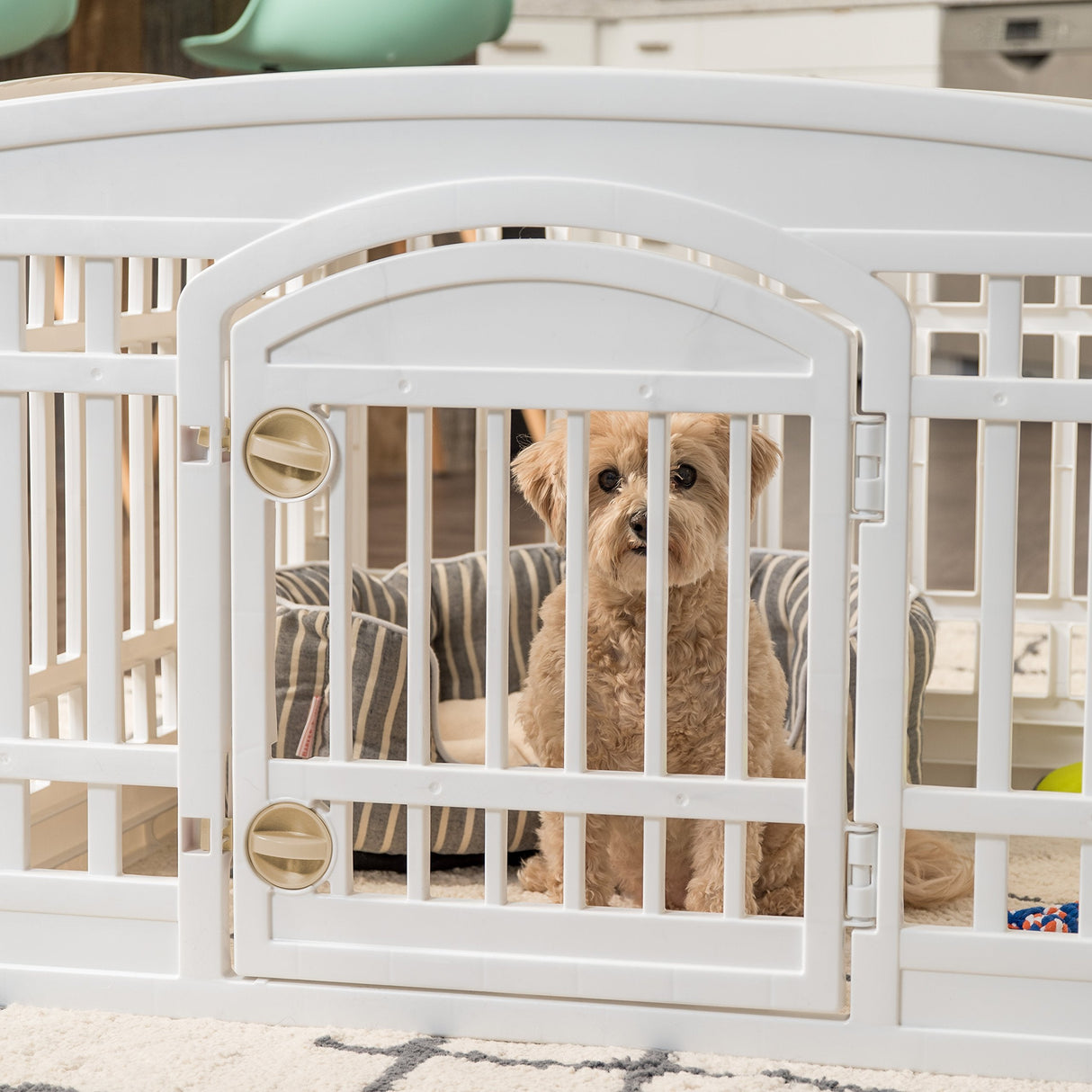 24" Exercise 4-Panel Pet Playpen with Door, Dog Playpen, Puppy Playpen, for Small and Medium Dogs, Keep Pets Secure, Easy Assemble, Fold It Down, Easy Storing, Customizable, White