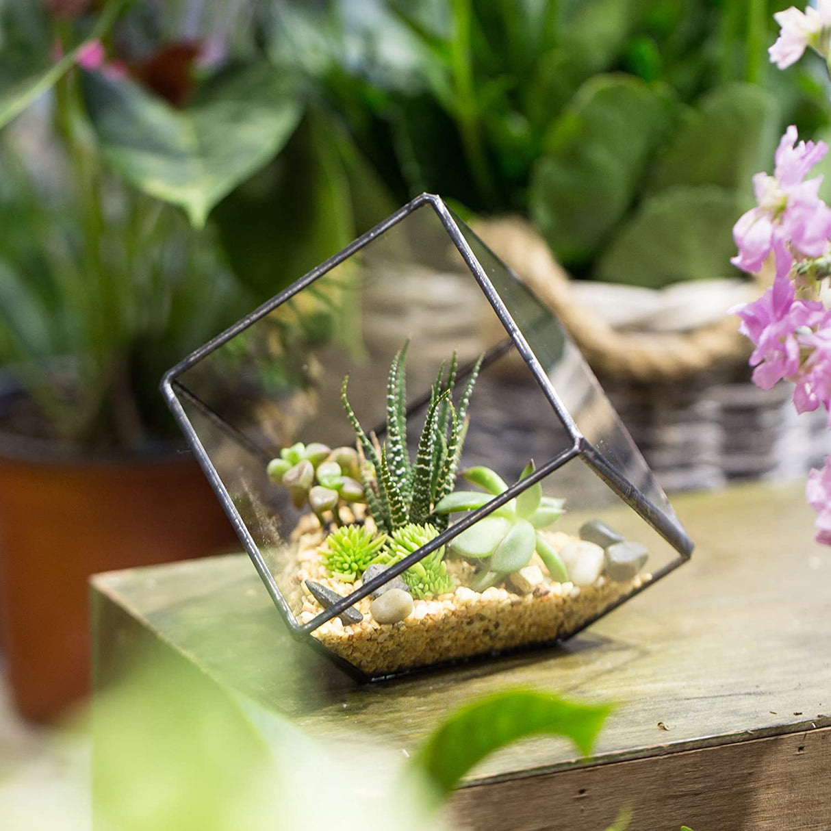 Geometric Decorative Terrarium Cube Planter