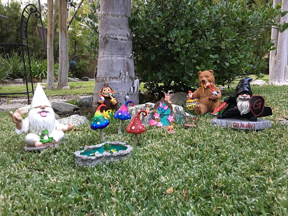 Rocker Gnome George with Zen Frog