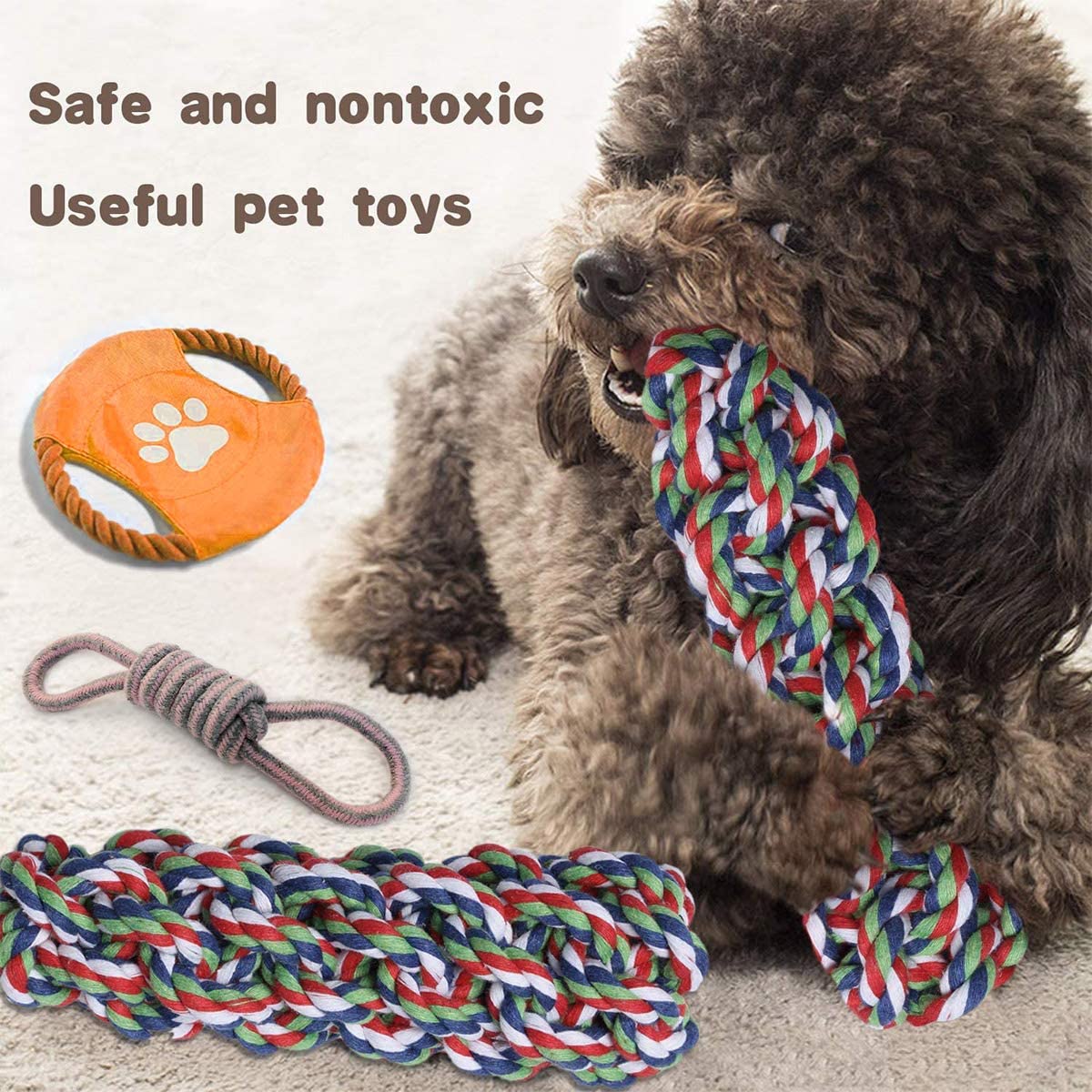 Dog Toy Gift