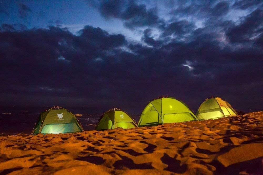 Night Cat Waterproof Camping Tent for 1 2 3 4 Person with Footprint Tarp Easy Instant Pop Up Tent Automatic Hydraulic Rainproof Tent with Rain Fly