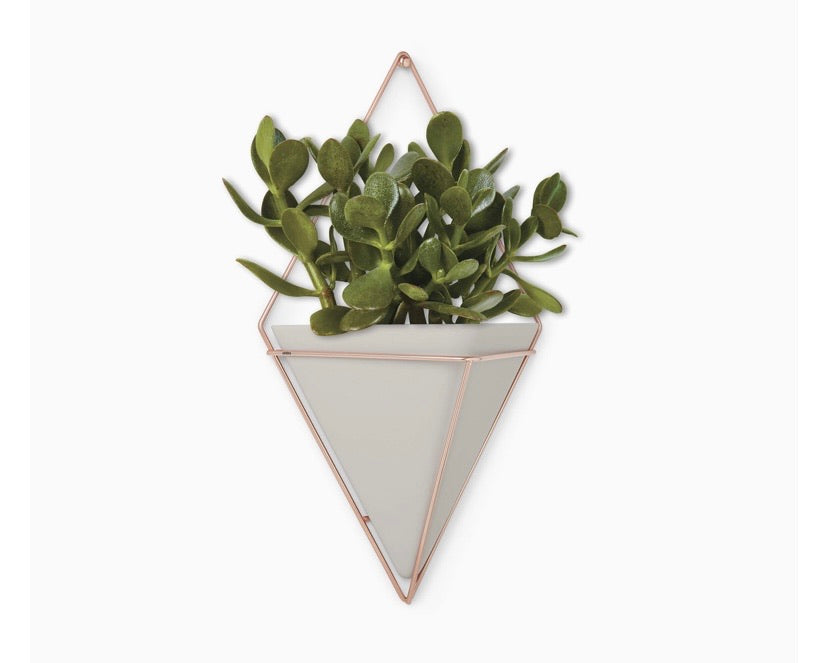 Trigg Hanging Planter