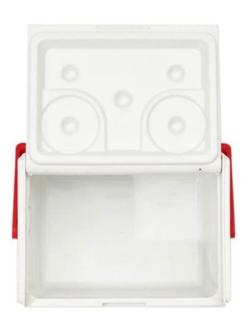 Small Insulated Cooler, 5 Quart