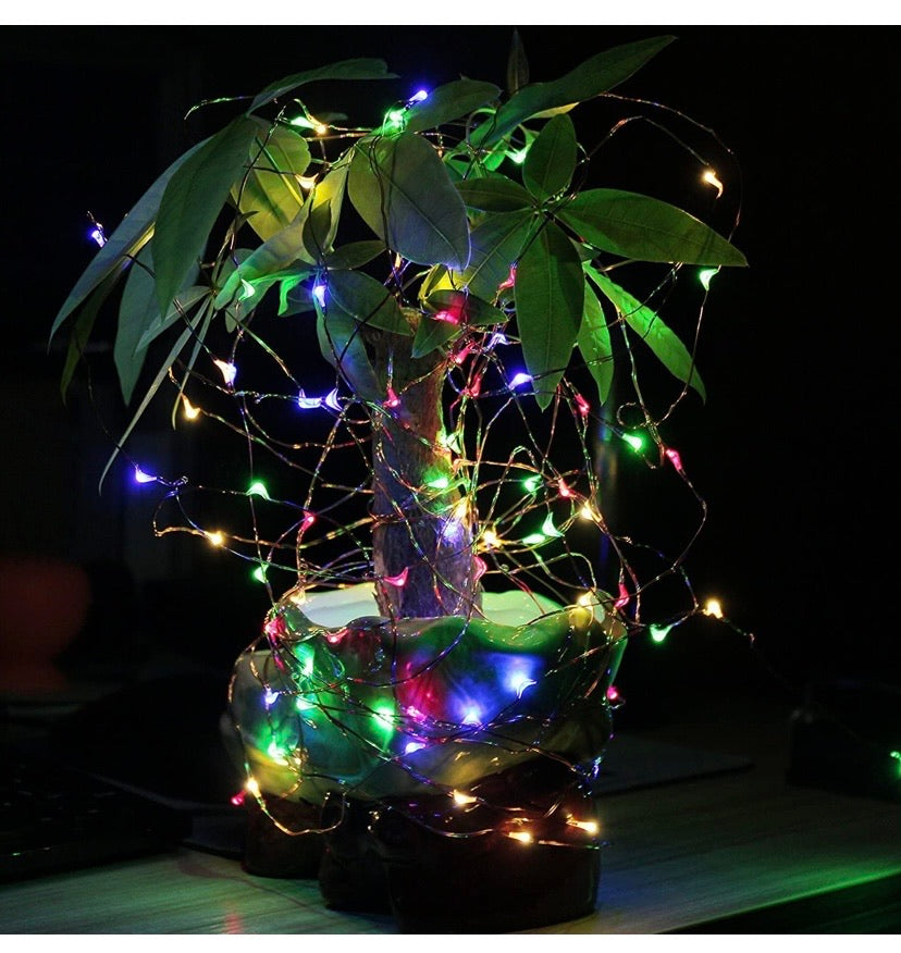 Solar String Lights, 2 Pack