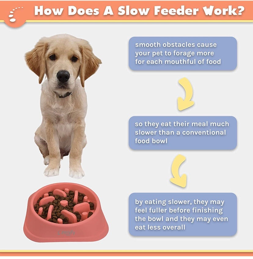 Dog Bowl Slow Feeder
