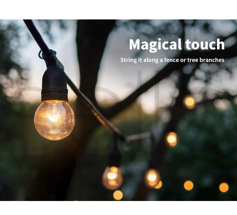 String Lights 20M