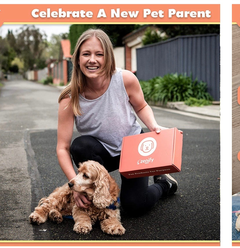 Puppy Dog Toys Gift Box - Pet Interactive Dog Rope Toy Starter Set - Tug Cotton Fetch Ball Rubber Training Puppies Play Grooming Glove Portable Travel Bowl