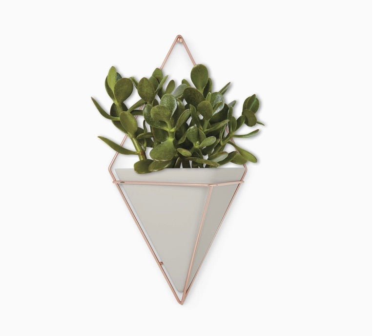 Trigg Hanging Planter, Large, Concrete/Copper Decor