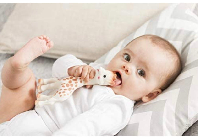 Sophie the Giraffe Teething Toy