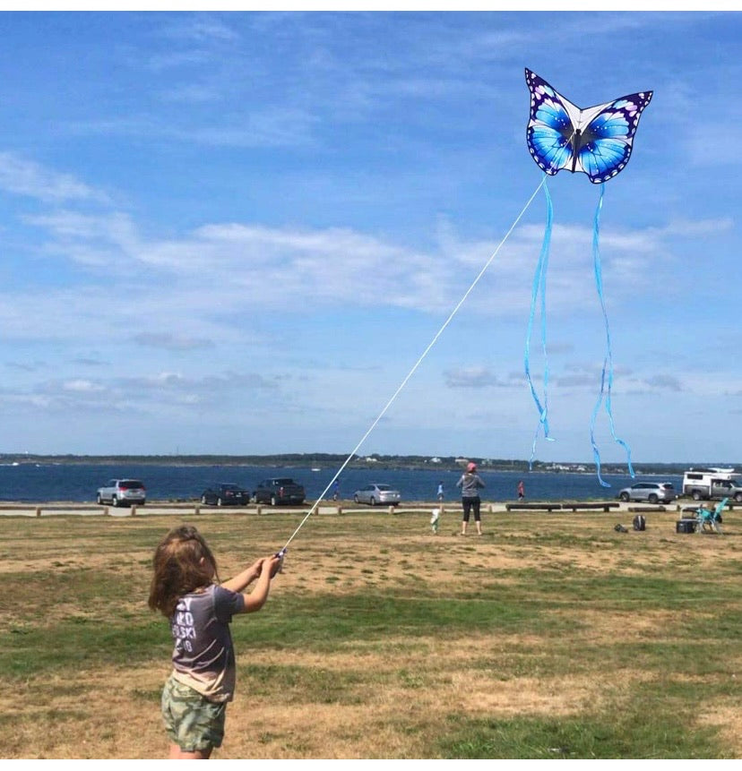 Butterfly Kite (Blue)