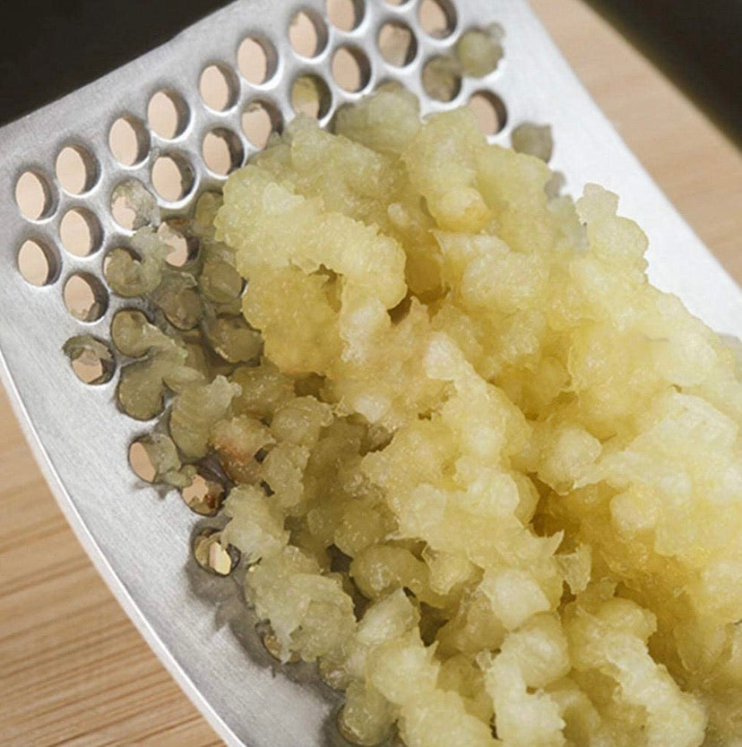 Stainless Steel Garlic Chopper