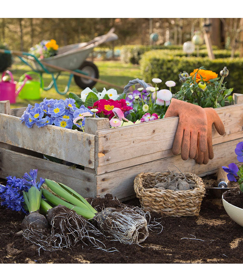 Pure Garden 82-VY021 Cart Rolling Stool with Wheels Seat, and Tool Tray for Weeding, Planting, or Lawn Care β Gardening Accessories and Supplies, 17.5x19, Green/Black