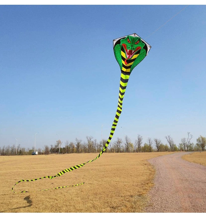 Cobra Kite for Kids Adults Large by Mint's Colorful Life